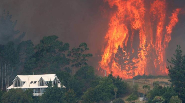 NZ wild fire